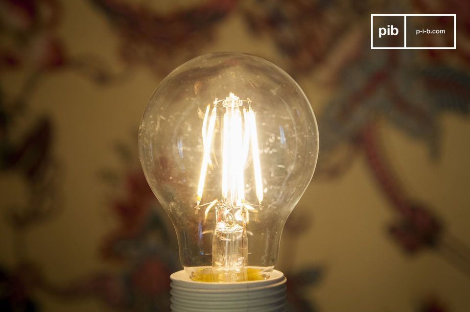 Fascino d'epoca e moderna tecnologia LED per equipaggiare le vostre lampade.